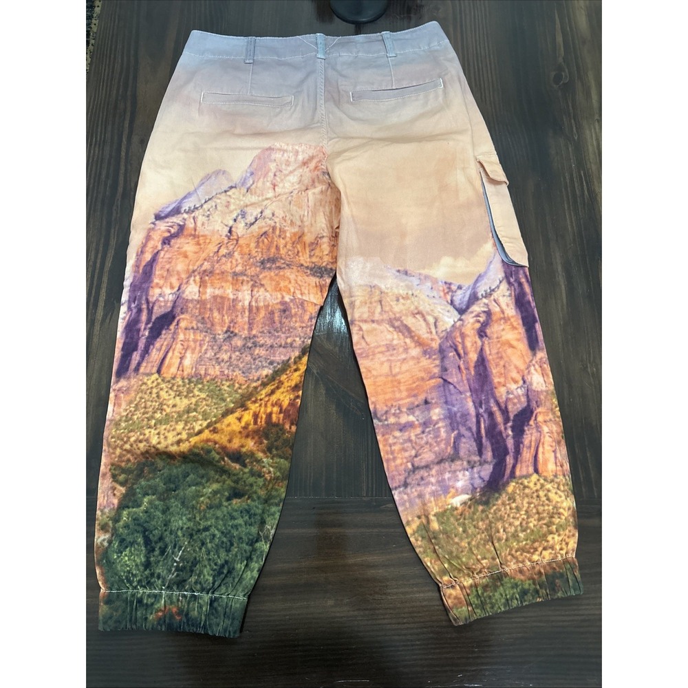 Anthropologie Pilcro RARE PHOTO SAMPLE NEW Sz 30 Joggers Rocky Mountain - Picture 11 of 14